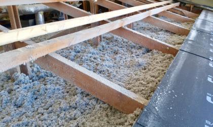 IMG_4939 (002) IMG_4939 (002)