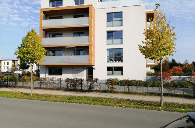 IMG_20191015_152308 IMG_20191015_152308