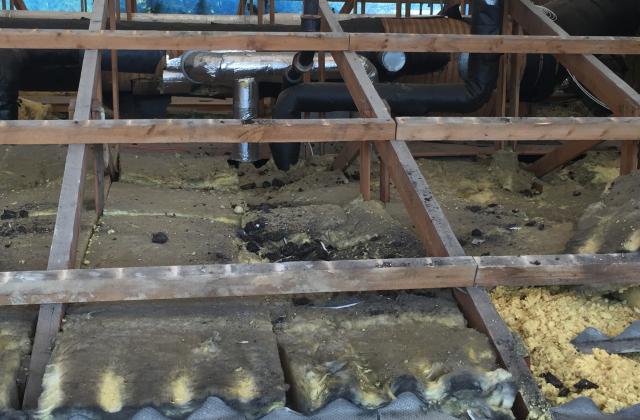 IMG_3123 (002) IMG_3123 (002)