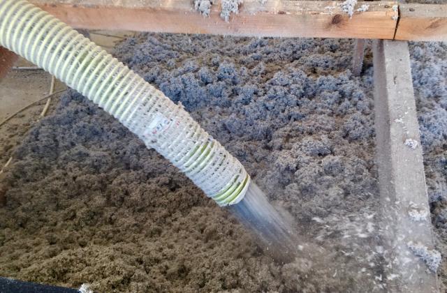 IMG_4938 (002) IMG_4938 (002)