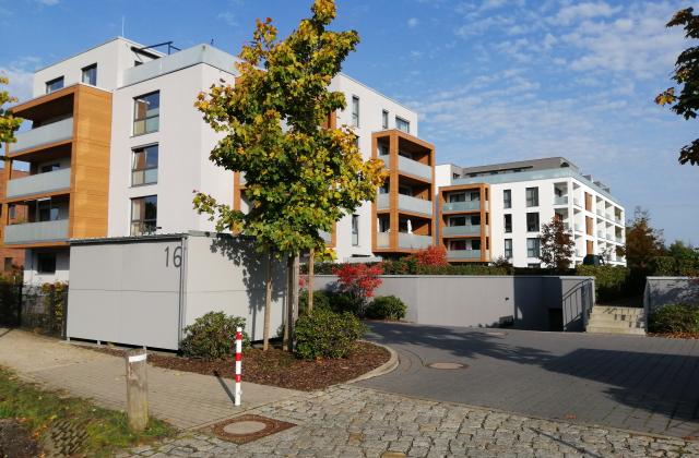 IMG_20191015_152644 IMG_20191015_152644