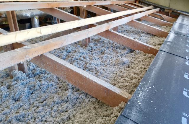 IMG_4939 (002) IMG_4939 (002)