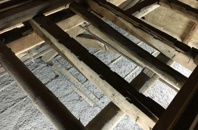 20160613 Domäne Frankenhausen  14 20160613 Domäne Frankenhausen  14