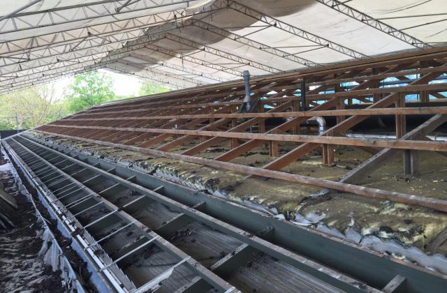 IMG_3122 (002) IMG_3122 (002)