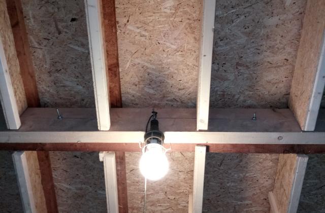 BV16032017 089 BV16032017 089