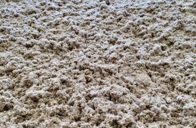 IMG_4937 (002) IMG_4937 (002)