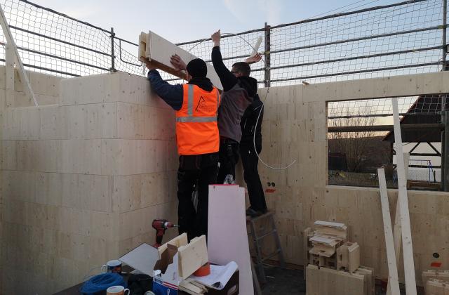 IMG_20210308_173023 IMG_20210308_173023